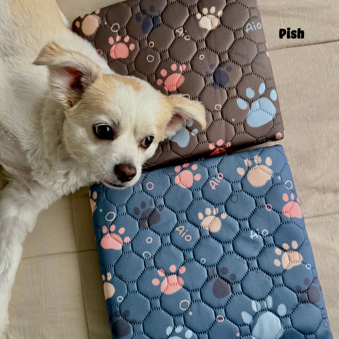 MATPAD AZUL ACERO PAWS