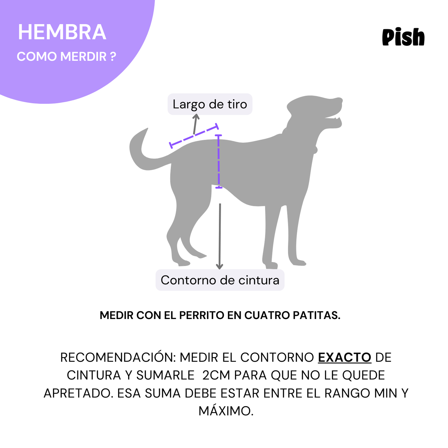 PAÑAL HEMBRA IMPERMEABLE - ESTRELLA TURQUESA