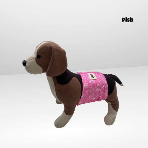 PAÑAL FAJIN MACHO - COQUETTE