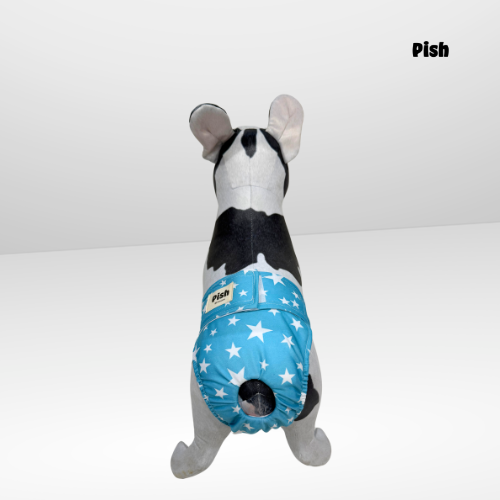PAÑAL HEMBRA IMPERMEABLE - ESTRELLA TURQUESA